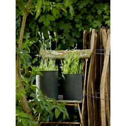 Zestaw 4 osłonek do kwiatów...