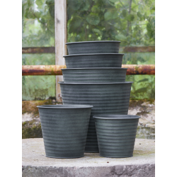 Zestaw 6 osłonek do kwiatów...